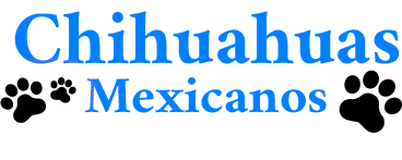 Logo chihuahuas mexicanos